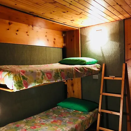 Edelweiss * Pila (Valle d'Aosta)